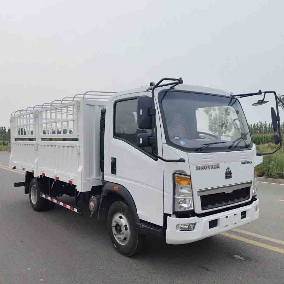 Sinotruk Howo 4x2 легкий забор грузовой грузовик